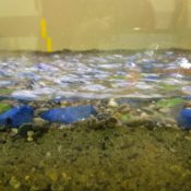 Modellizzazione fisica rampa Lodrino, fase test