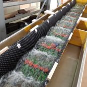 Deflusso 70 m3/s, visione di assieme