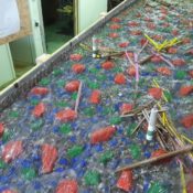 Schwemmholzablagerungen an den Pfeilern